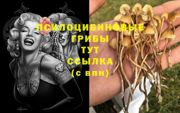 амф Алексин