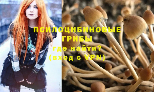 синтетический гашиш Алексеевка