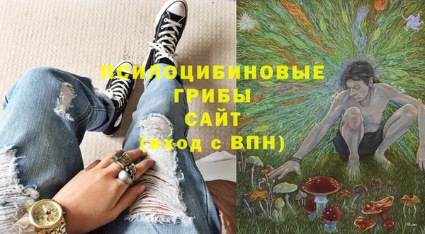 амф Алексин