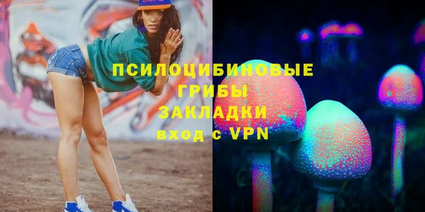амф Алексин