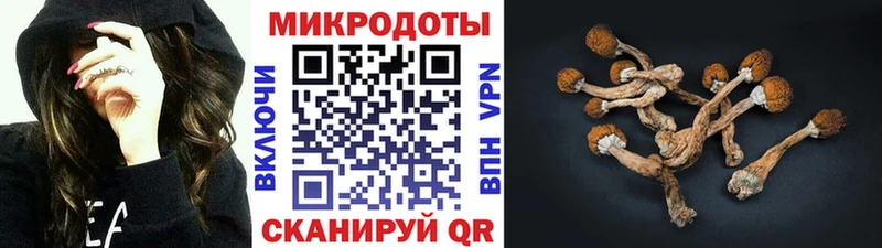 цена   Полтавская  Псилоцибиновые грибы мицелий 